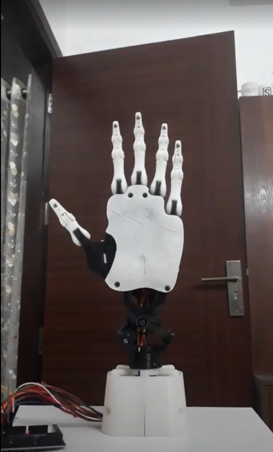 Robotic Hand